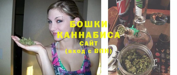 хмурый Богородск