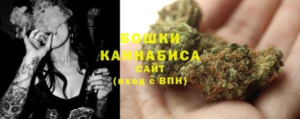 хмурый Богородск