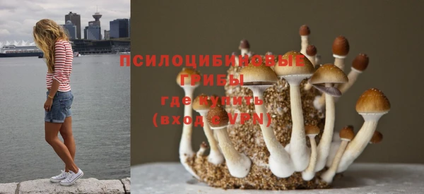 хмурый Богородск