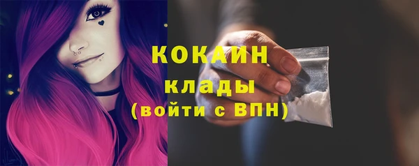 соль ск Богданович