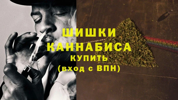 соль ск Богданович