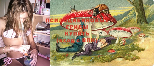 a pvp Богородицк
